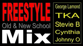 Old & New School Freestyle Mix - (DJ Paul S)