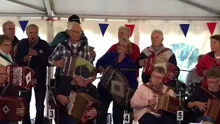 Polka från Kröds Härad - Durspelarnas Allspel G-dur - Otterberget 2017 Dragspelsstämman