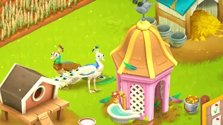 Brown,white peacock|stubborn fish| hay day 118