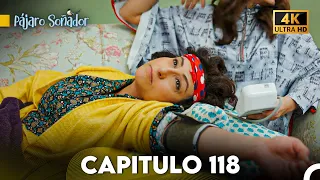 Pájaro Soñador Capítulo 118 (Doblado En Español 4K)