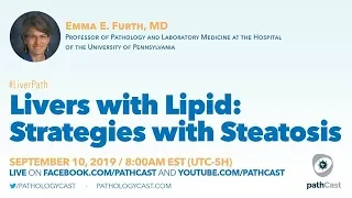 Steatosis - Dr. Furth (UPenn) #LIVERPATH