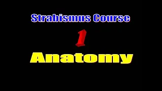 1 Surgical Anatomy of the Extraocular Muscles / Dr Gamal Sobhy / Strabismus Course