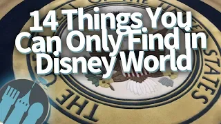 14 Things You Can ONLY Find in Disney World!