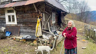 Лікарські рослини далеких Карпат. Стародавні секрети здоров'я від Ганни Павлюк