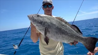 The KING of the REEF- Catch Clean Cook- Black Grouper (Florida Keys Fishing)