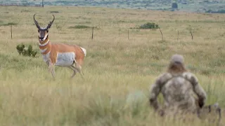 Spot And Stalk Archery Hunting Antelope In New Mexico!