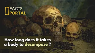 The Fascinating Process of Human Decomposition 💀