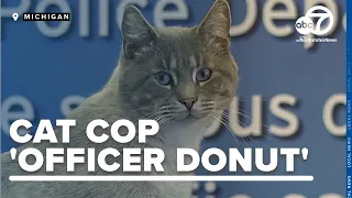 Meet Donut the cat! 🐾 He's a healthier choice and fully neutered member of the long arm of the paw!