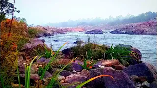 Beautiful Nature and River  flow|| short  video.