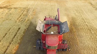 Dusek Farms Wheat Harvest 2018