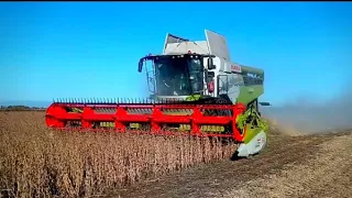 *NEW* Claas Lexion 5400 demo tour | Convio 770 flex