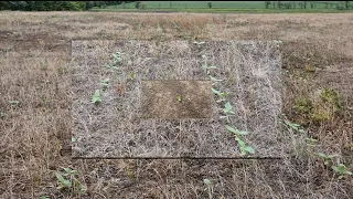 Подсолнечник на заброшенных землях.Всходы на дороге получены.No-till.