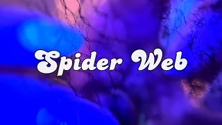 ASMR Spider Web (relaxing, ASMR for sleep) 30 mins
