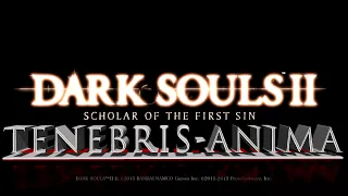 DARK SOULS™ II Scholar of the First Sin №13 Финал!