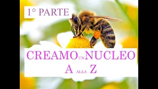 Apicoltura - Facciamo Nuclei - Come creare una famiglia di api a settembre .