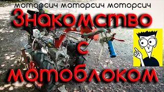 Как управлять мотоблоком Мотор Сич. Инструкция для новичков.