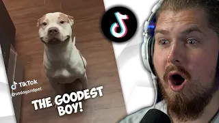 These Wholesome TikTok's Will MAKE YOUR DAY!  Ep. 3