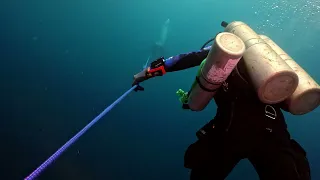 Fujikawa Maru Dive 1