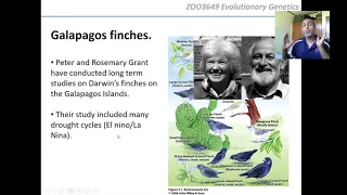 Professor Yoshan Moodley |ZOO3649 Evolutionary Genetics | Lecture 9: Evidence for Natural Selection