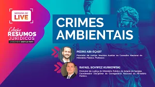Crimes Ambientais - Com Pedro Abi Eçab e Rafael Schwez Kurkowski