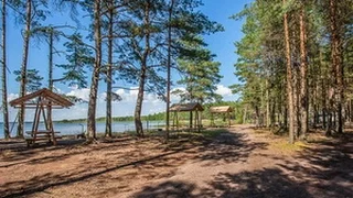 Кемпинг Клевое место - территория и природа, Отдых в Беларуси