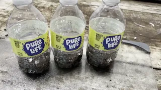 A Cheap and Easy Way To Grow Seeds with Water Bottles