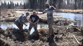 Brown Bear Hunting on the Alaska Peninsula with Outdoors International