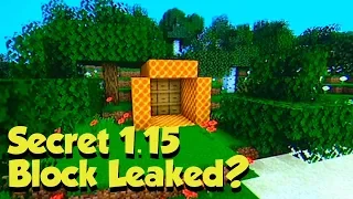 Minecon LEAKED A New Block? & Other Missed Details