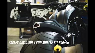 V-ROD MUSCLE KIT 300mm