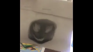 Venom flipbook animation