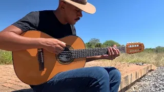 Trem do Pantanal - Luís Carlos Violeiro (Cover)