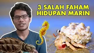 3 Salah Faham Hidupan Marin