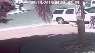 Cat rescued boy from dog attacks  in Bakersfield, California Кот спас от нападения собаки мальчика