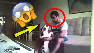 She Setup A Hidden Camera And Caught Her Husband Doing This With The Dog!