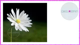 Sugar Daisy Tutorial