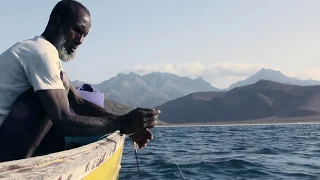 Socotra Island, Yemen. Trailer of the Documentary Socotra: The Hidden Land.