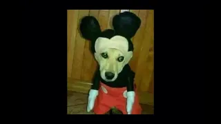 128 256 512 1024 2048 4096 8192 16384 32768 Bits (Mickey Mouse)