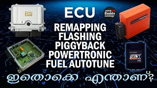ECU Remapping, Flashing, Piggyback, Powertronic, Fuel Autotune -Explained | Ajith Buddy Malayalam