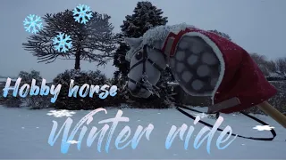 Hobby horse winter ride ☃️❄️| in the snow with my hobby horse 🐴🌨️