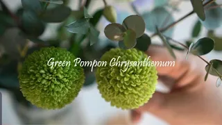 앙금플라워 그린퐁퐁소국(꽃말:진심) Green pompon Chrysanthemum flower piping technique