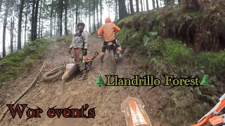 enduro Llandrillo Forest wor events 31/12/22
