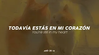 "You're still in my heart" — Snap [Rosa Linn] Letra español e ingles.