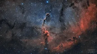 Processing the Elephant Trunk Nebula