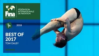 Tom Daley strikes again! - Best of FINA 2017