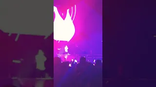 Maluma- Mala mia ( Live in Brussels,FAME Tour - Palais 12)