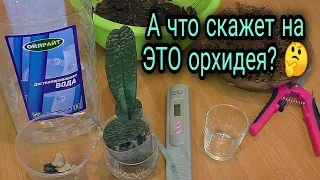 Орхидею так ещё никто не сажал!!! Новый  вариант на старый лад 🔥