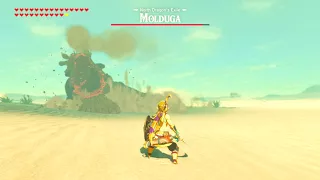 The Legend of Zelda: Breath of the Wild - Molduga battle music mix