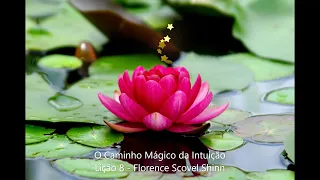 O Caminho Mágico da Intuição   Lição 8 - Florence Scovel Shinn