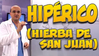 HIPÉRICO O HIERBA DE SAN JUAN