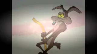 Wile E. Coyote and The Road Runner [episode] 11-20